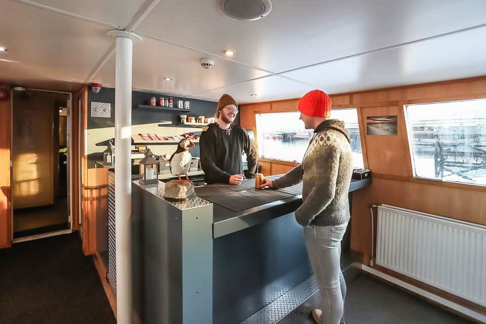 Reykjavík: Whale Watching and Marine Life Cruise - Price and Value: Is $87 Worth It for 3 Hours?