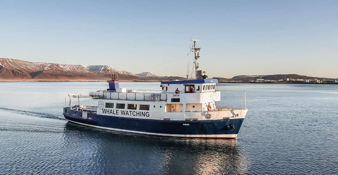Reykjavík: Whale Watching and Marine Life Cruise - On-Board Comfort: Heated Cabins, Seats, and the Value of Staying Warm