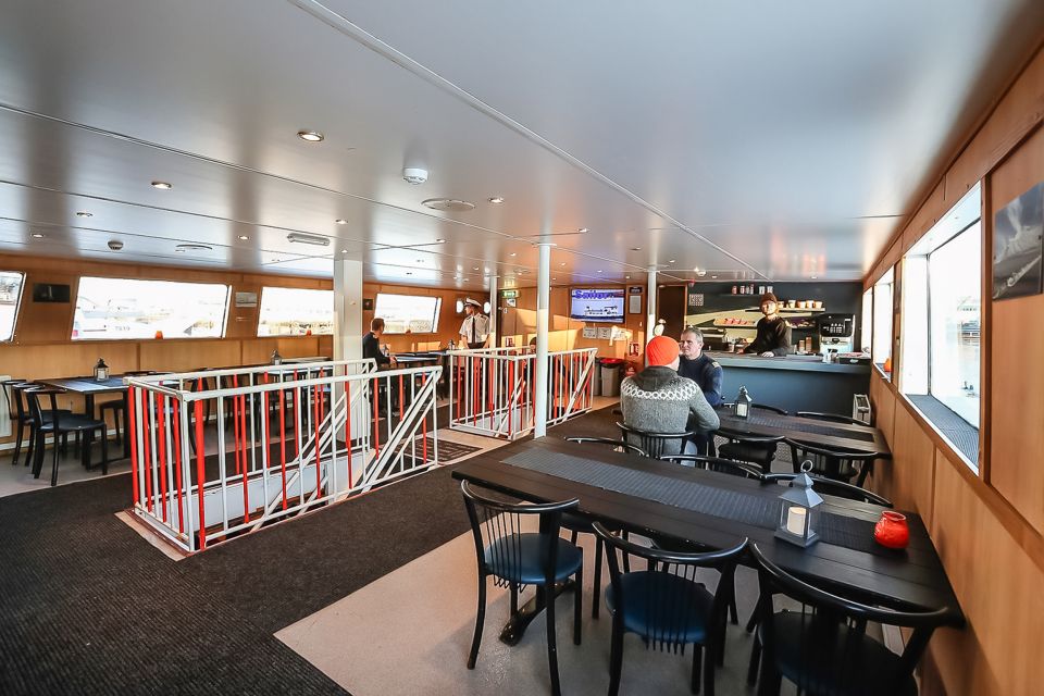 Reykjavík: Whale Watching and Marine Life Cruise - What the 3-Hour Cruise Feels Like on the Water