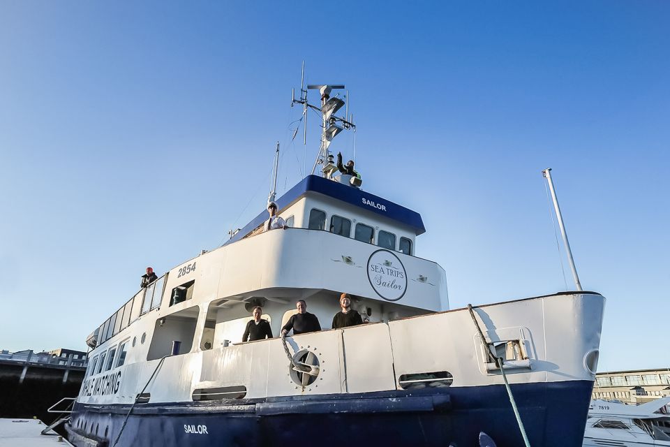 Reykjavík: Whale Watching and Marine Life Cruise - Food, Drinks, and WiFi: The Small Comforts That Add Up