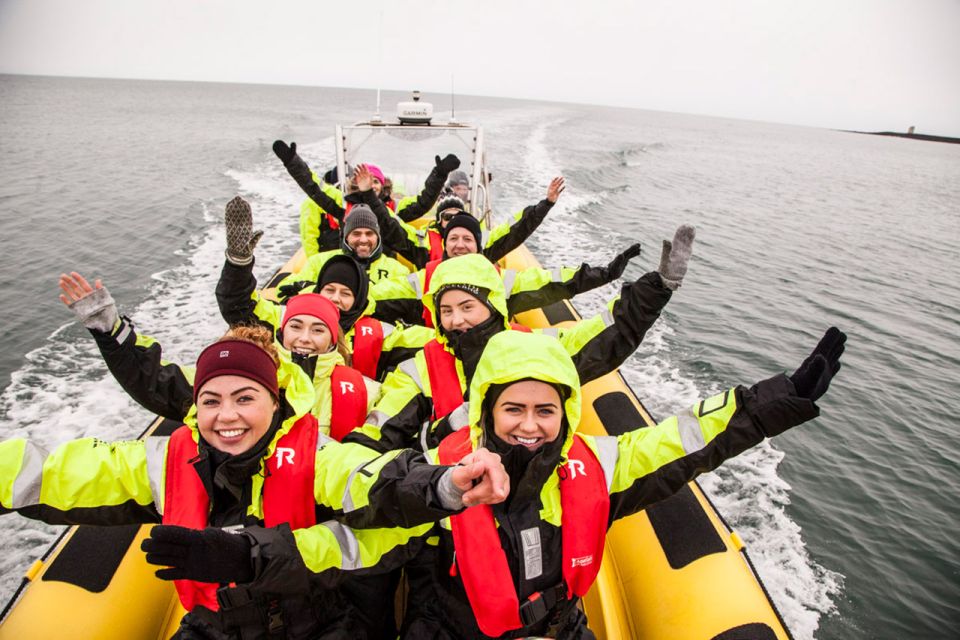 Reykjavik: Whale Watching by RIB Speedboat - Key points before you go