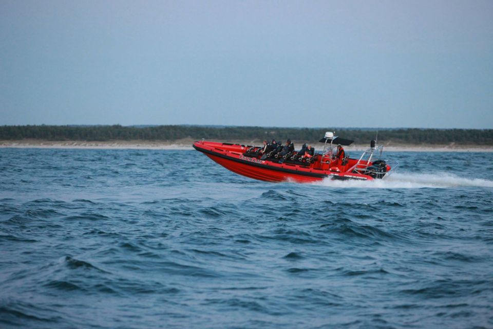 Reykjavik: Whale Watching by RIB Speedboat - Duration and itinerary timing: what 2 hours feels like