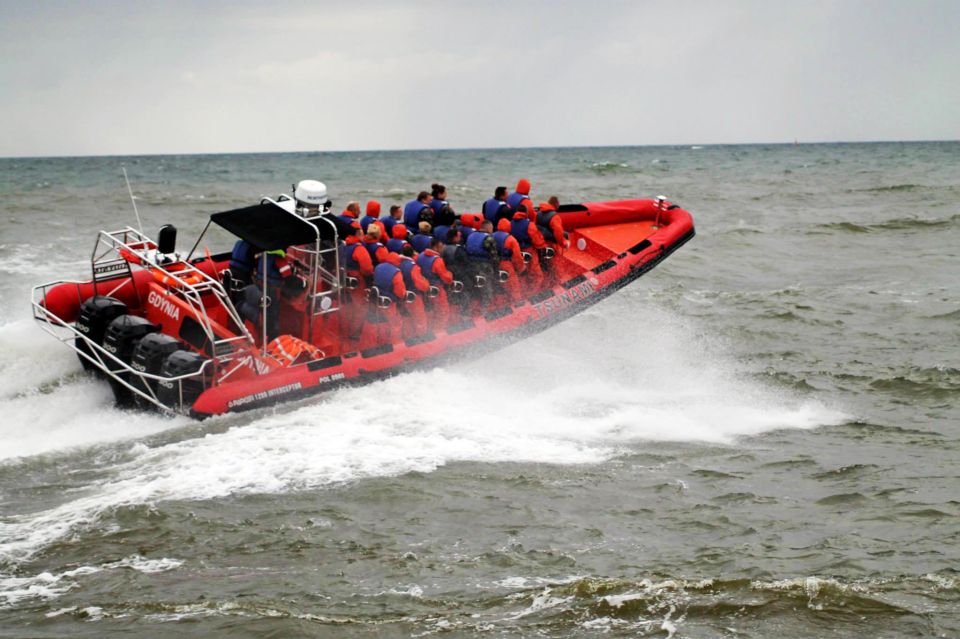 Reykjavik: Whale Watching by RIB Speedboat - How the captain hunts whales fast (and why it matters)