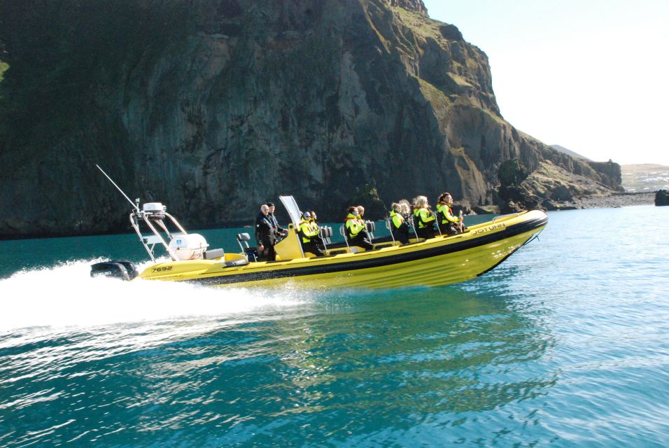 Reykjavik: Whale Watching by RIB Speedboat - The free return ticket: how it changes the risk