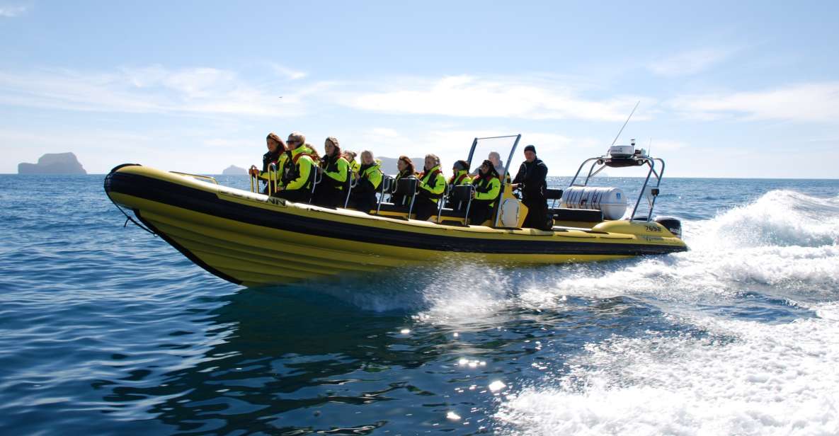 Reykjavik: Whale Watching by RIB Speedboat - Faxaflói Bay run: Engey, Lundey, and Reykjavík views from water