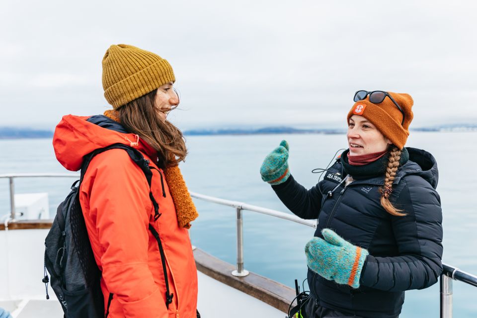 Reykjavík: Whale Watching Cruise on the Amelia Rose Yacht - Why the Amelia Rose Yacht makes Reykjavik whale watching feel easier
