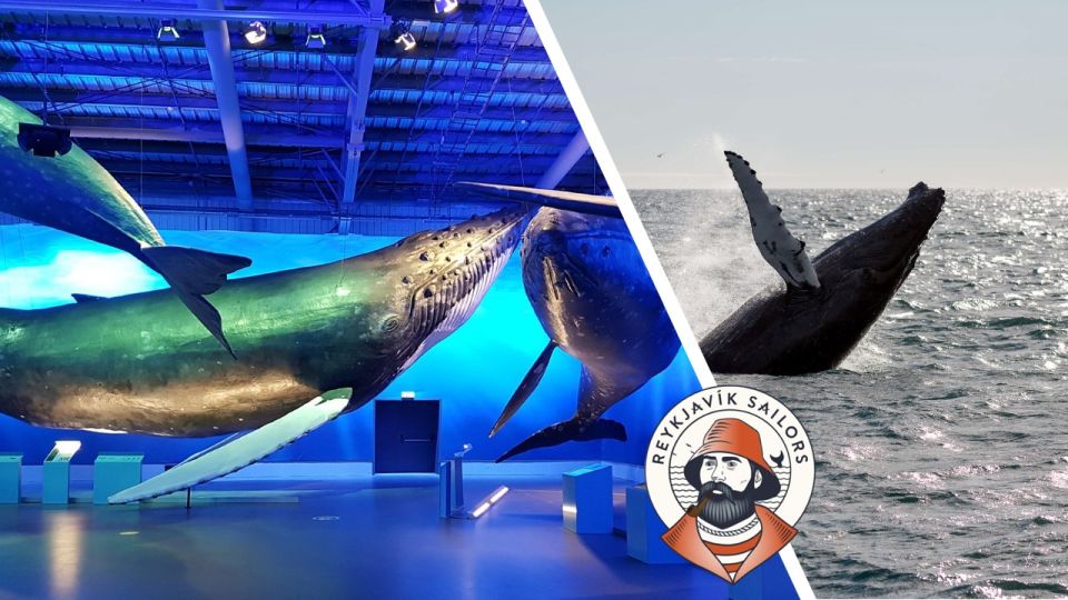 Reykjavik: Whale Watching Excursion & Whale Exhibition - Reykjavik Whale Watching + Whales of Iceland: what you’re really buying