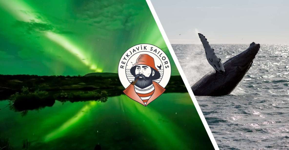 Reykjavik: Whale Watching & Northern Lights Combo Cruise - Key things I’d plan around on this cruise