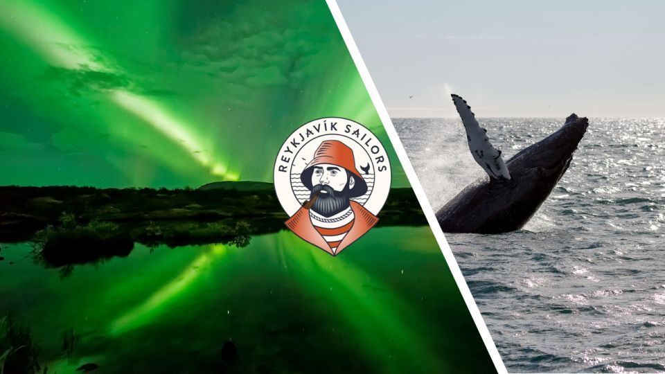 Reykjavik: Whale Watching & Northern Lights Combo Cruise - Why this Reykjavik combo cruise works so well
