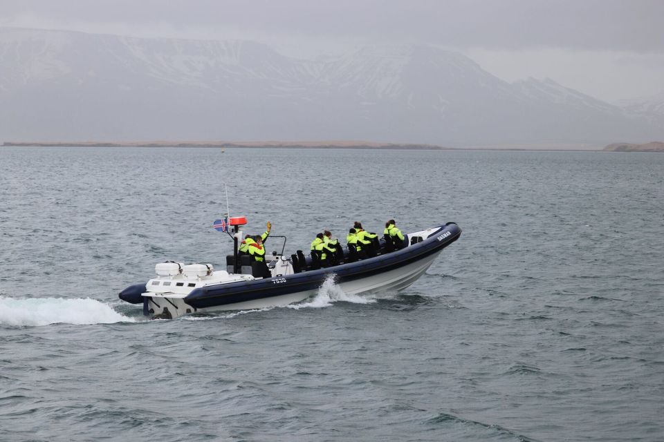 Reykjavik: Whale Watching Tour by RIB Boat - Who should book this (and who should skip it)