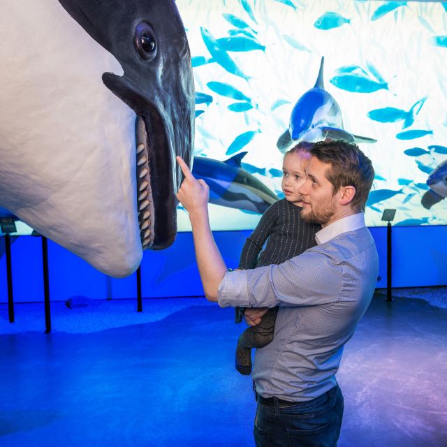 Reykjavik: Whale Watching Tour, Whales of Iceland Exhibition - Key points I’d bank on