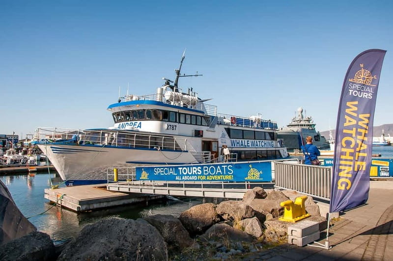 Reykjavik: Whale Watching Tour with Expert Guide - Entering the Old Harbour: your start point and what sets the tone