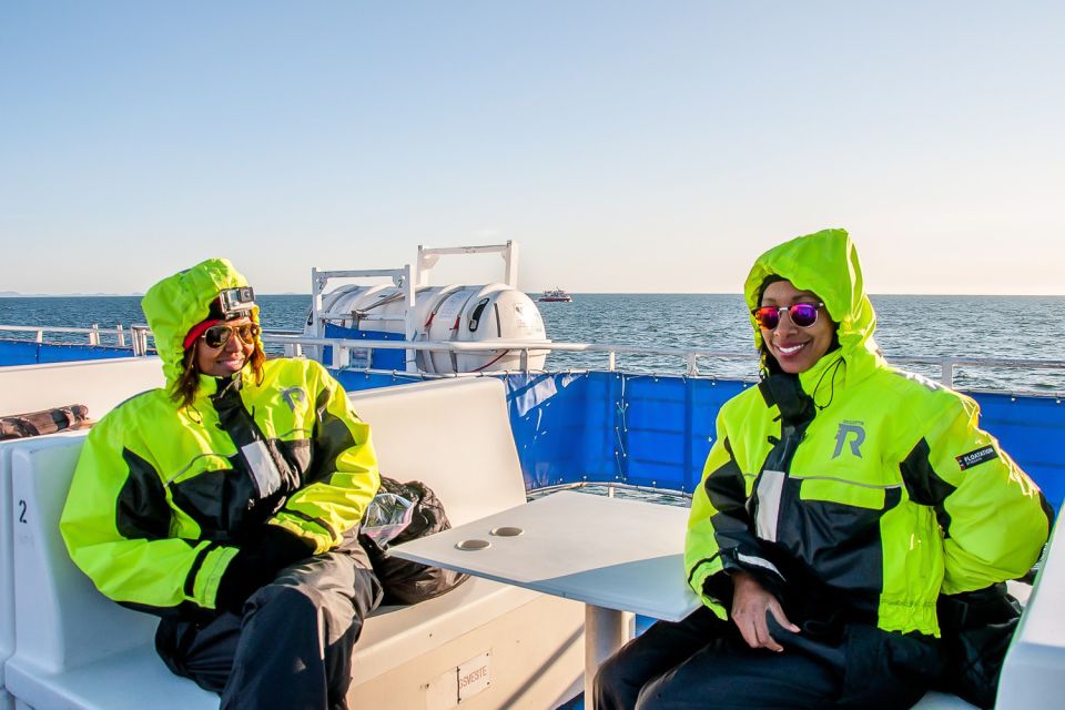 Reykjavik: Whale Watching Tour with Expert Guide - Price and value: is $90 a fair deal for Reykjavik whale watching?