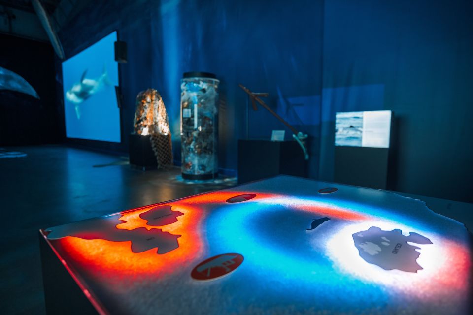 Reykjavik: Whales of Iceland Museum Entrance Ticket - Key things I’d prioritize
