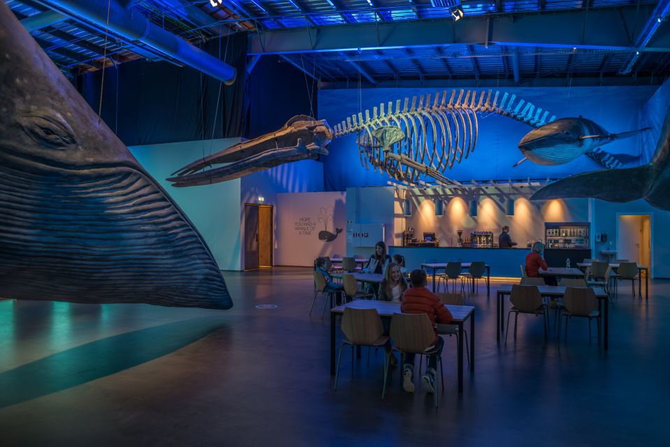 Reykjavik: Whales of Iceland Museum Entrance Ticket - Price and logistics: is $34 worth it for your day?