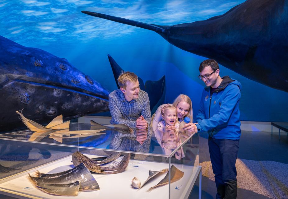 Reykjavik: Whales of Iceland Museum Entrance Ticket - Interactive exhibits: learning that doesn’t feel like a classroom