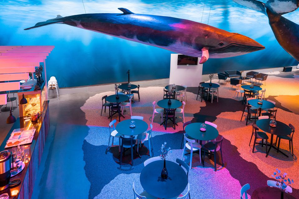 Reykjavik: Whales of Iceland Museum Entrance Ticket - Fin Whale Theatre films: documentaries included, not an add-on
