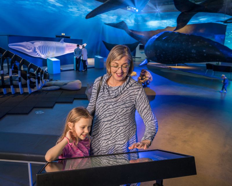 Reykjavik: Whales of Iceland Museum Entrance Ticket - Pacing a short visit: how long should you plan?