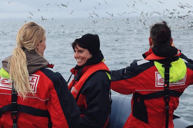 RIB Whale Watching Small-Group Boat Tour from Reykjavik - Reykjavík RIB Whale Watching: What You’re Actually Buying