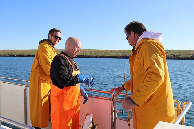 Sea Fishing Experience from Reykjavik - Reykjavik Sea Fishing at 5 pm: A Cold-Water Adventure with a Warm Finish