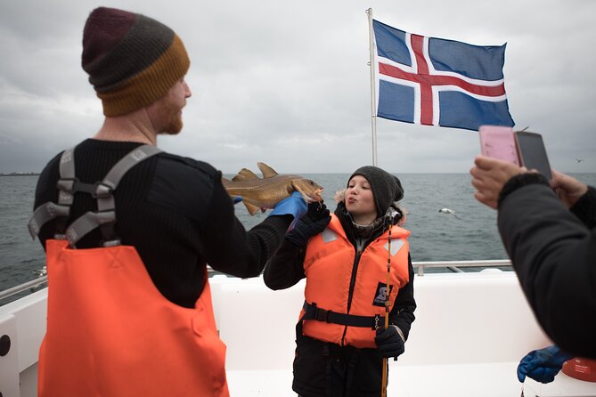 Sea Fishing Experience from Reykjavik - Akurey and Lundey in Summer: Puffins, Seabirds, and a Bonus Nature Show