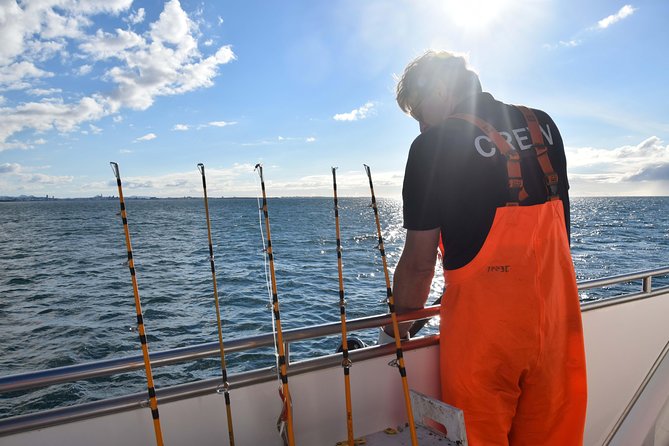 Sea Fishing Experience from Reykjavik - Price and Value: Is $147.54 Worth It?