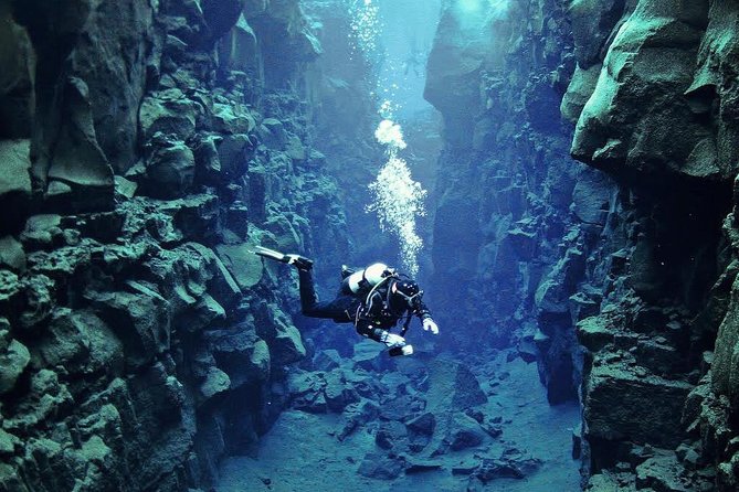 Silfra: Diving Between Tectonic Plates and Pick Up from Reykjavik - What you’re paying for: $325 and the value of the full package