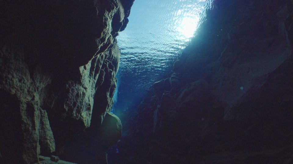 Silfra: Diving Between Tectonic Plates - Price and Logistics: Is $289 Good Value?