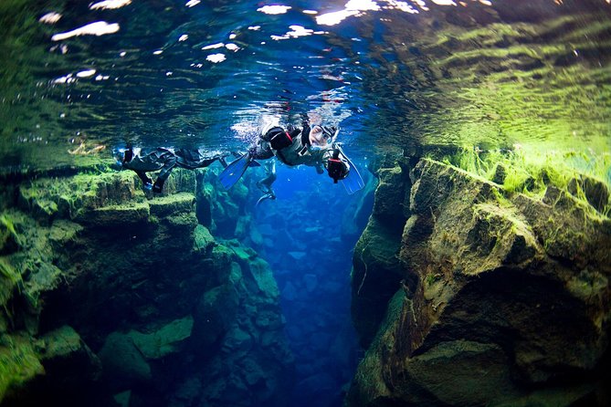 Silfra Fissure Snorkeling From Reykjavík - Free Underwater Photos - Reykjavík pickup and the ride to Thingvellir National Park
