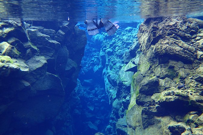 Silfra Fissure Snorkeling From Reykjavík - Free Underwater Photos - Price and value: is $211.72 worth it?