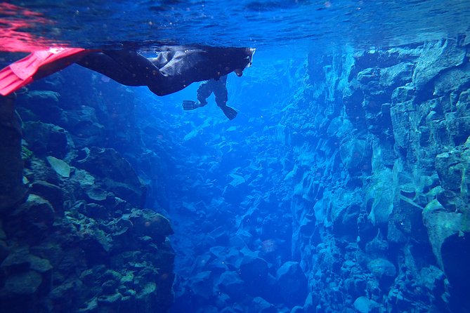 Silfra Fissure Snorkeling From Reykjavík - Free Underwater Photos - Who should book this, and who should skip it
