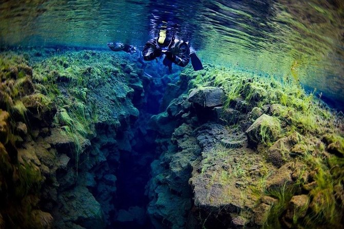 Silfra Fissure Snorkeling From Reykjavík - Free Underwater Photos - Practical tips that make the cold way easier