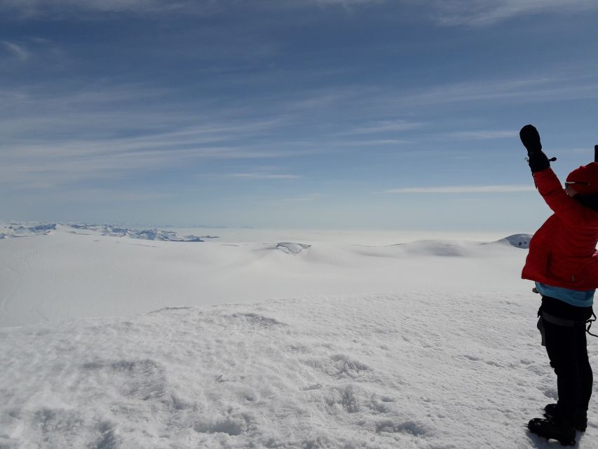 Skaftafell: Hvannadalshnjúkur Glacier Guided Hike - Price and value: what $766 covers and who should pay it
