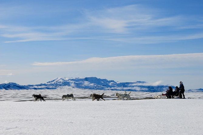 Small Group Husky Sledding Tour from Capital Region - Key highlights worth planning for