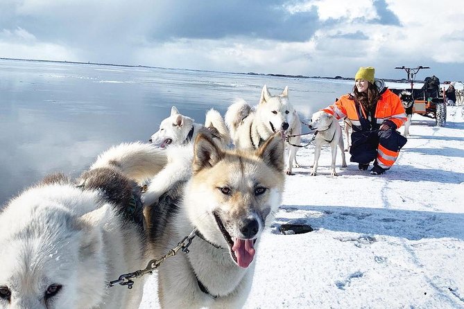 Small Group Husky Sledding Tour from Capital Region - Why this husky tour works as a Reykjavík day trip