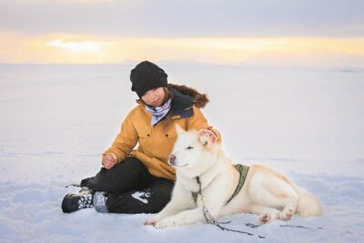 Small Group Husky Sledding Tour from Capital Region - What you get: the 35-minute husky ride plus real dog time