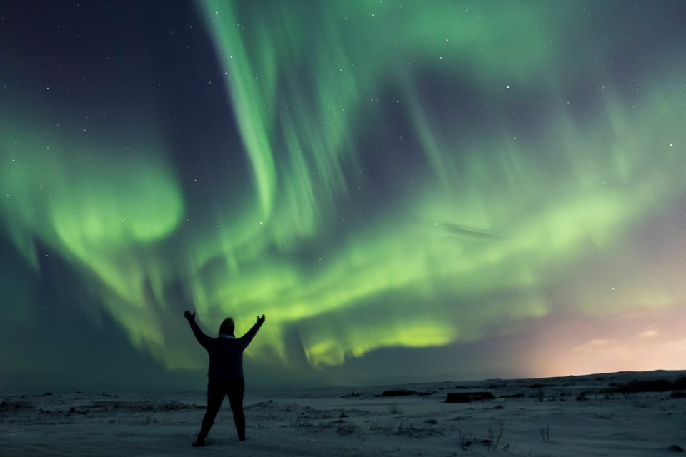 Small-Group Premium Northern Lights Tour from Reykjavik - What it feels like when the aurora turns on