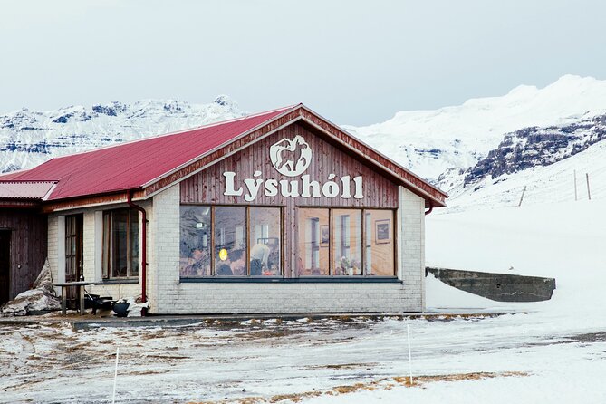Snæfellsnes in Spanish with lunch on a farm Minibus - Getting to the Peninsula: Minibus Comfort, Wi‑Fi, and Pickup