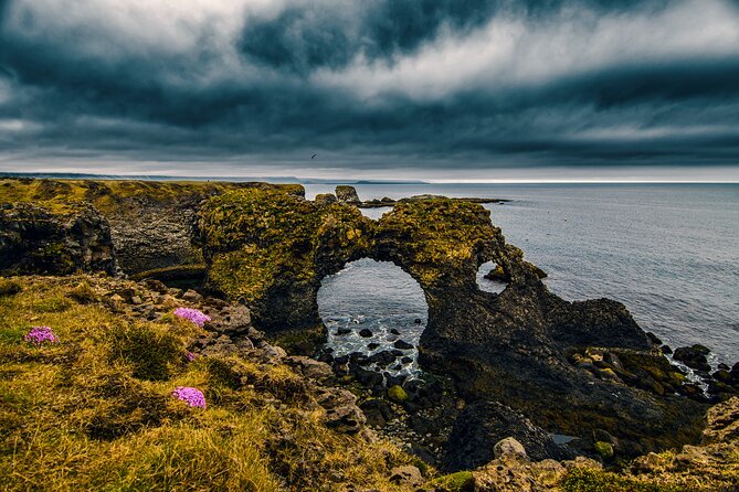 Snæfellsnes in Spanish with lunch on a farm Minibus - Arnarstapi to Hellnar Coastal Walk: Basalt Columns, Grottoes, and Seabirds