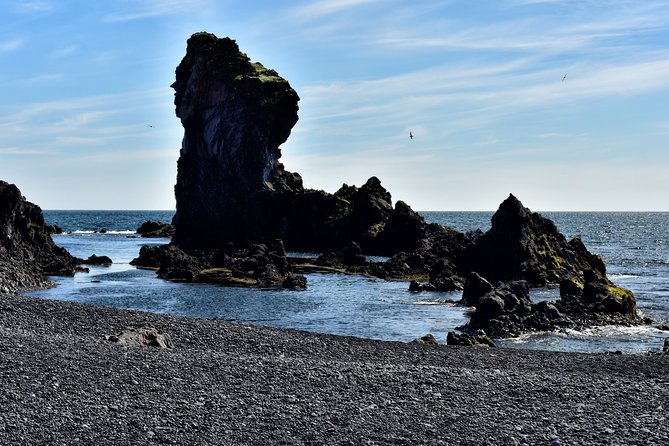Snaefellsnes NP Small-Group Tour with Local Lunch from Reykjavik - Arnarstapi lunch: the lamb soup break you’ll remember