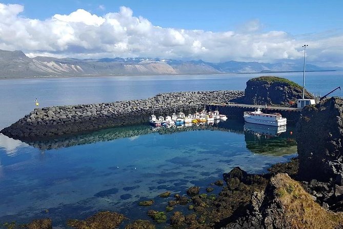 Snaefellsnes Peninsula. Private Day Tour from Reykjavik - Price, food, and the practical tradeoffs at $740