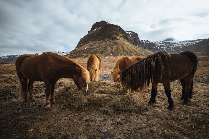 Snæfellsnes Peninsula | Private tour | PRO Photos included - Snæfellsjökull National Park: 700,000-Year-Old Volcano Energy Stories