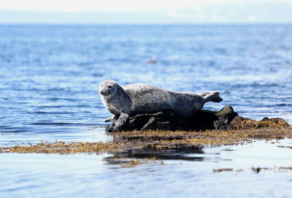 Snæfellsnes: Small-Group Hidden Treasures of The West Tour - Djúpalónssandur: black sand, shipwreck traces, and moody stones