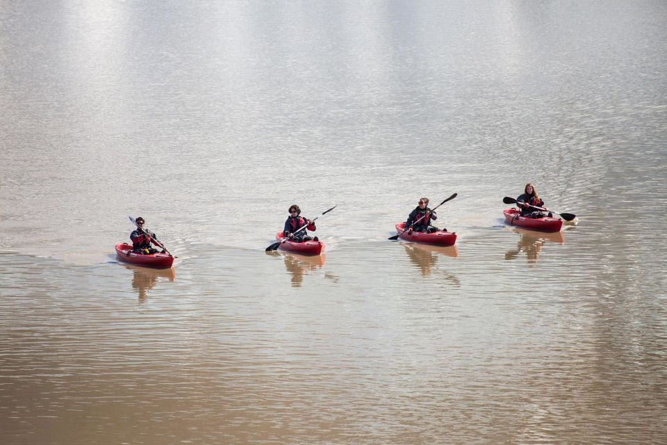 Sólheimajökull: Guided Kayaking Tour on the Glacier Lagoon - Your Kayaking Lesson: How Beginners Stay Calm (Mostly)