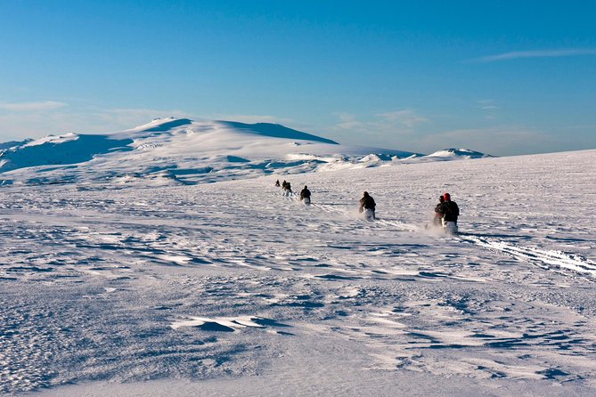 South Coast and Glacier Snowmobiling Day Trip from Reykjavik - Seljalandsfoss: The Waterfall You Can Walk Behind