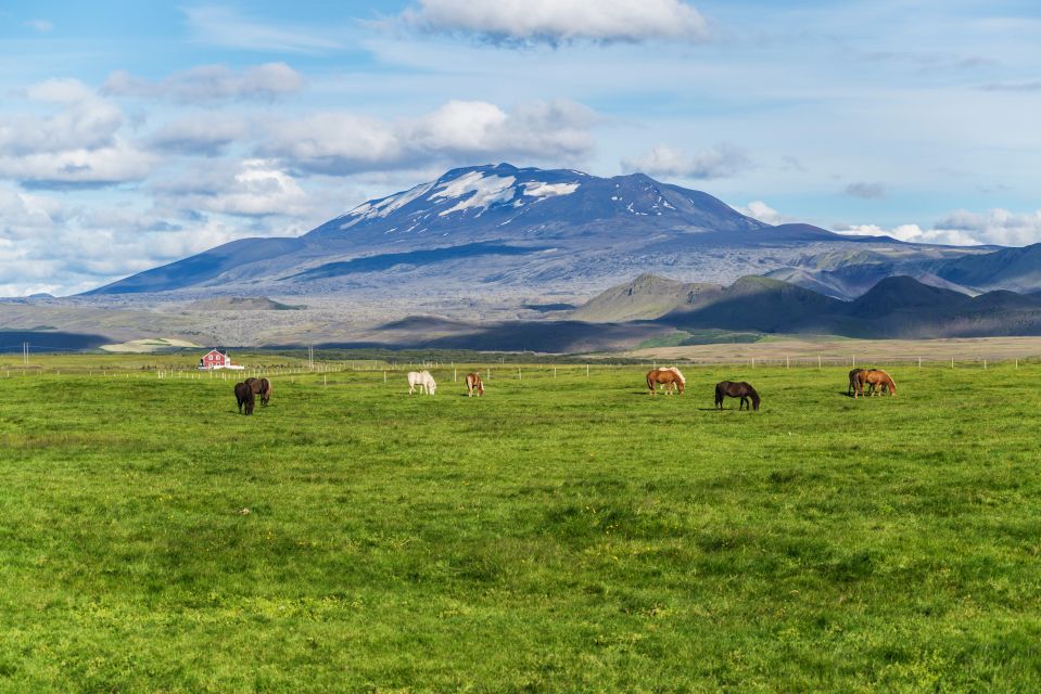 South Coast Classic: Full-Day Tour from Reykjavik - Key points at a glance
