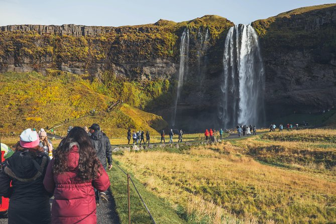South Coast Day Tour Black Sand Beach & Waterfalls from Reykjavik - Reynisfjara black-sand beach: basalt shapes and wave danger