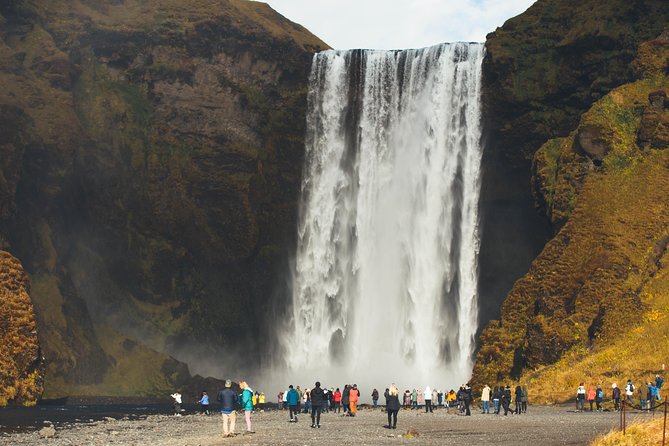 South Coast Day Tour Black Sand Beach & Waterfalls from Reykjavik - The pacing reality: long coach time, smart stops, and group energy