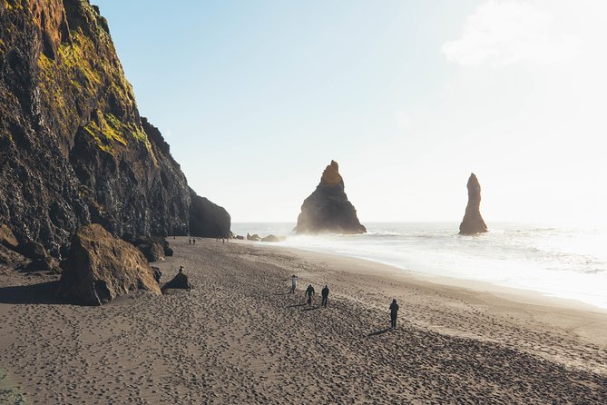 South Coast Day Tour Black Sand Beach & Waterfalls from Reykjavik - Who this tour suits best (and who should rethink it)