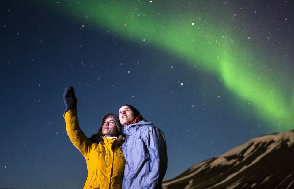 South Coast, Glacier Hike and Northern Lights Winter Tour - Solheimajökull Glacier Walk: Crampons, Crevasses, and Ice Sounds